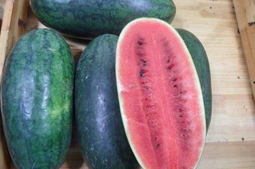 黑料吃黑瓜最新,一场网络舆论的狂欢与反思